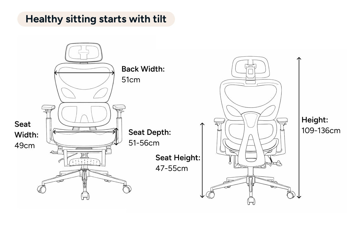 Ergolux Plus Ergonomic Mesh Office Chair with Footrest (Black)
