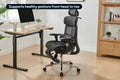 Ergolux Plus Ergonomic Mesh Office Chair with Footrest (Black)