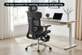 Ergolux Plus Ergonomic Mesh Office Chair with Footrest (Black)