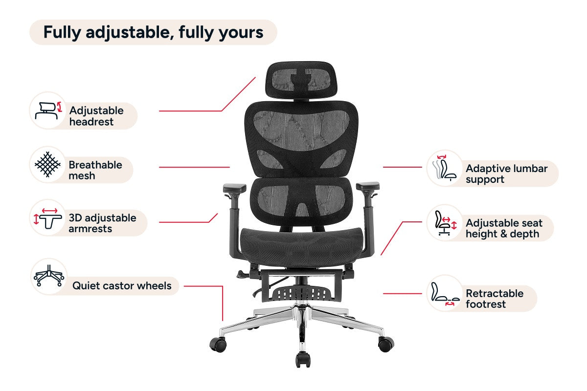 Ergolux Plus Ergonomic Mesh Office Chair with Footrest (Black)