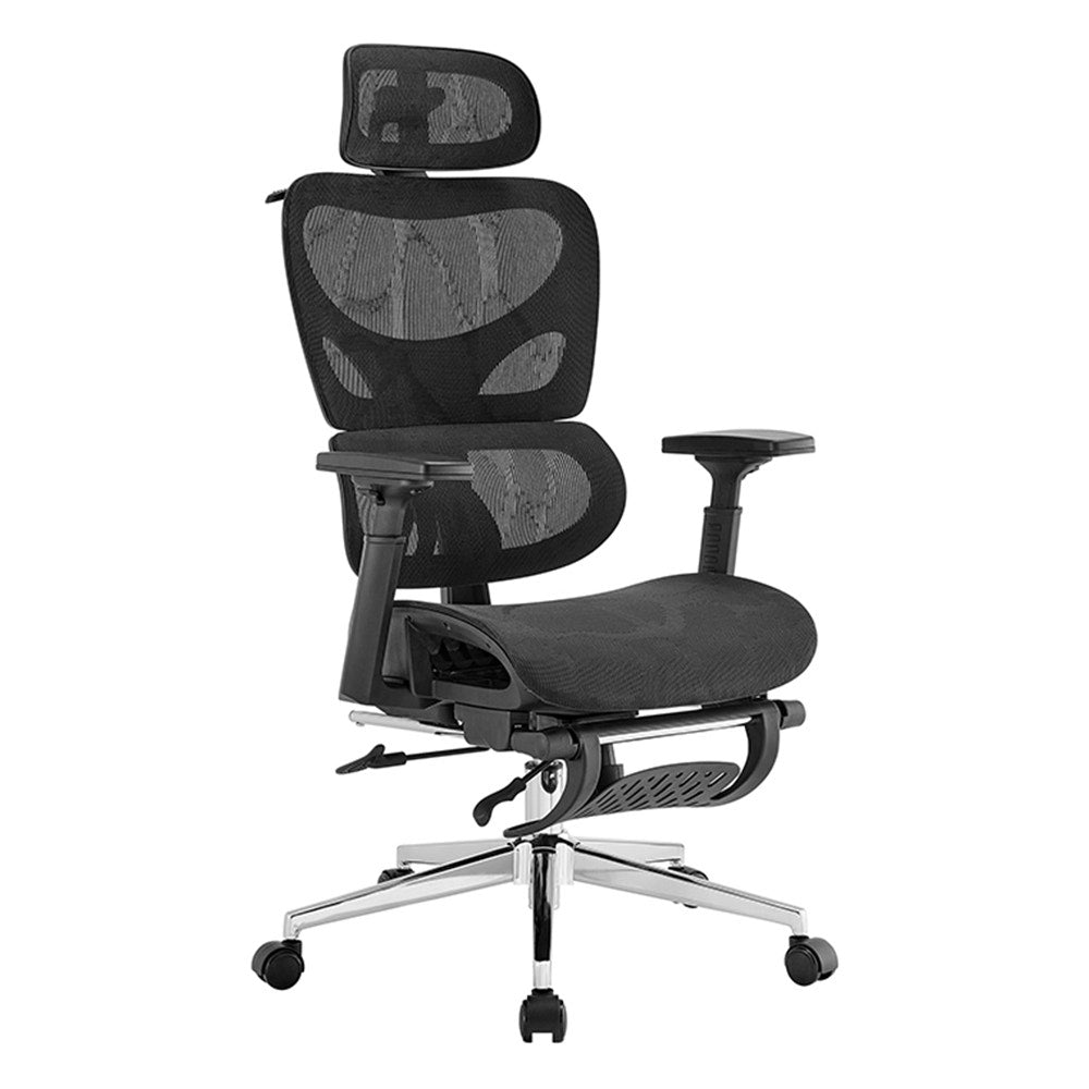 Ergolux Plus Ergonomic Mesh Office Chair with Footrest (Black)