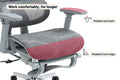 Ergolux EZ11 Ergonomic Office Chair with Footrest (Grey)