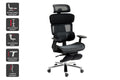 Ergolux Pro Max Ergonomic Mesh Office Chair with Footrest (Black)