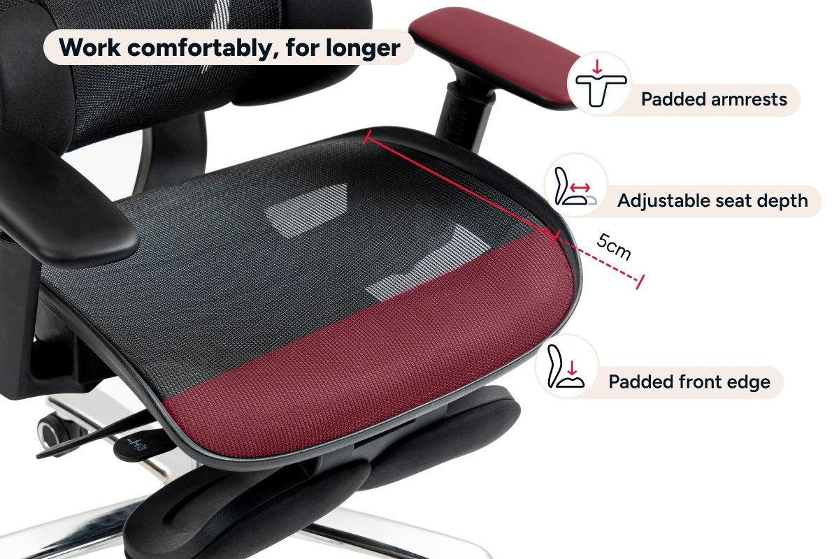 Ergolux Pro Max Ergonomic Mesh Office Chair with Footrest (Black)
