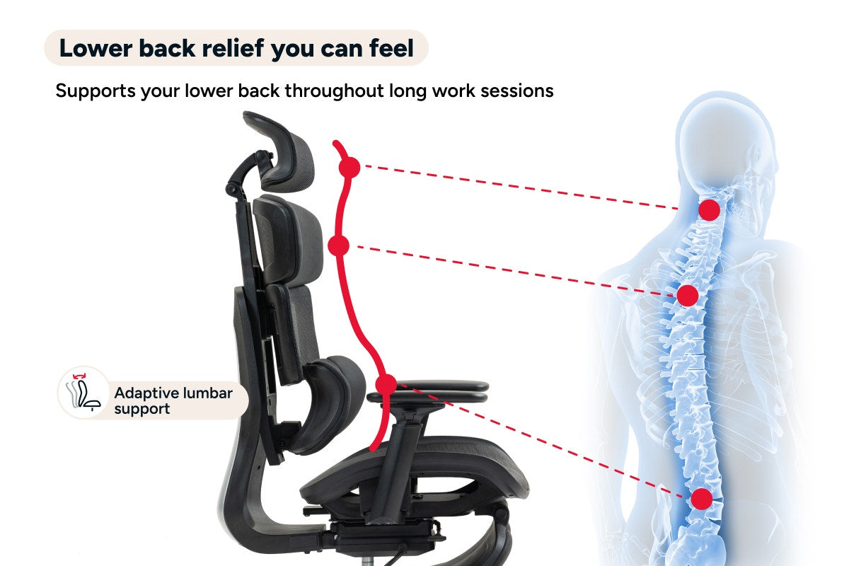 Ergolux Pro Max Ergonomic Mesh Office Chair with Footrest (Black)