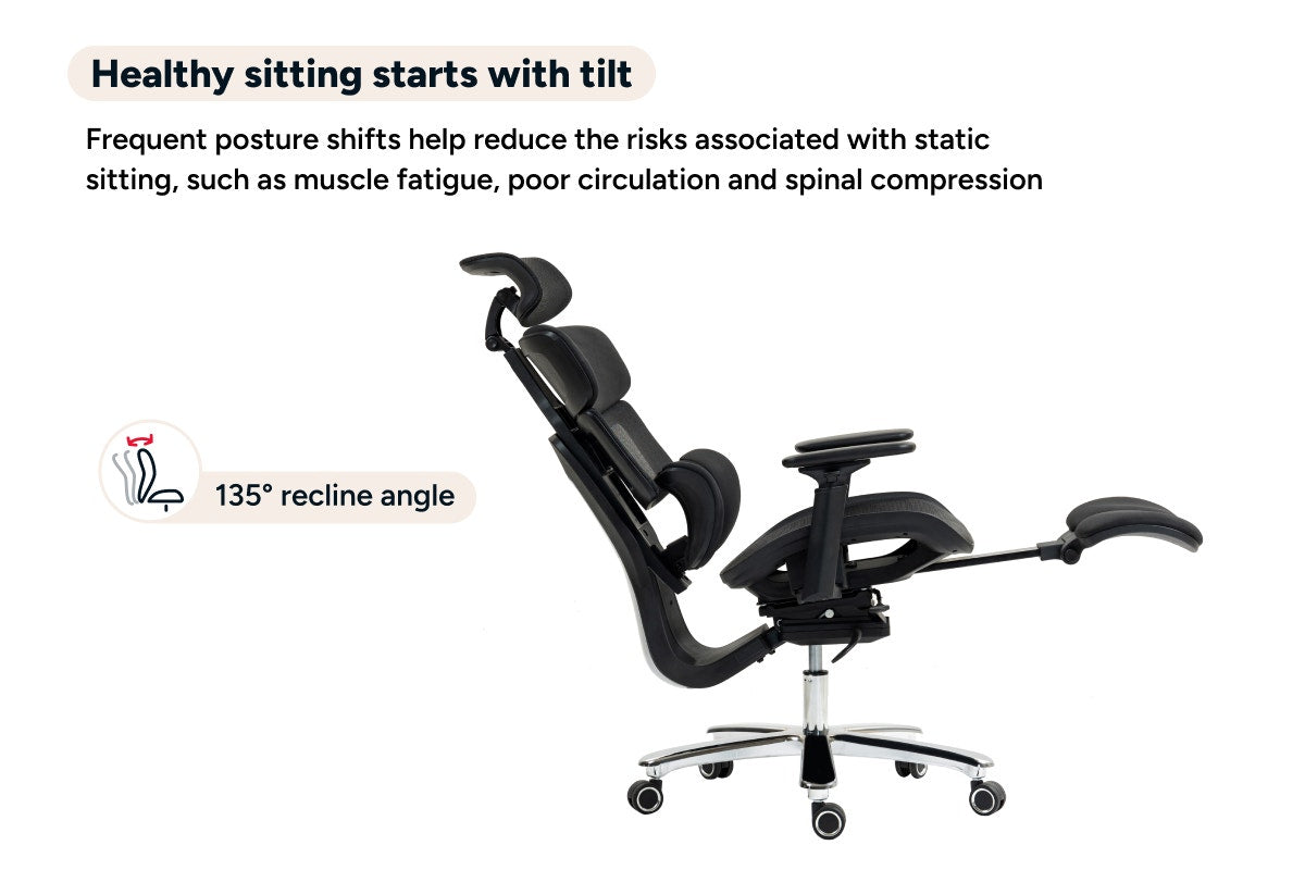 Ergolux Pro Max Ergonomic Mesh Office Chair with Footrest (Black)