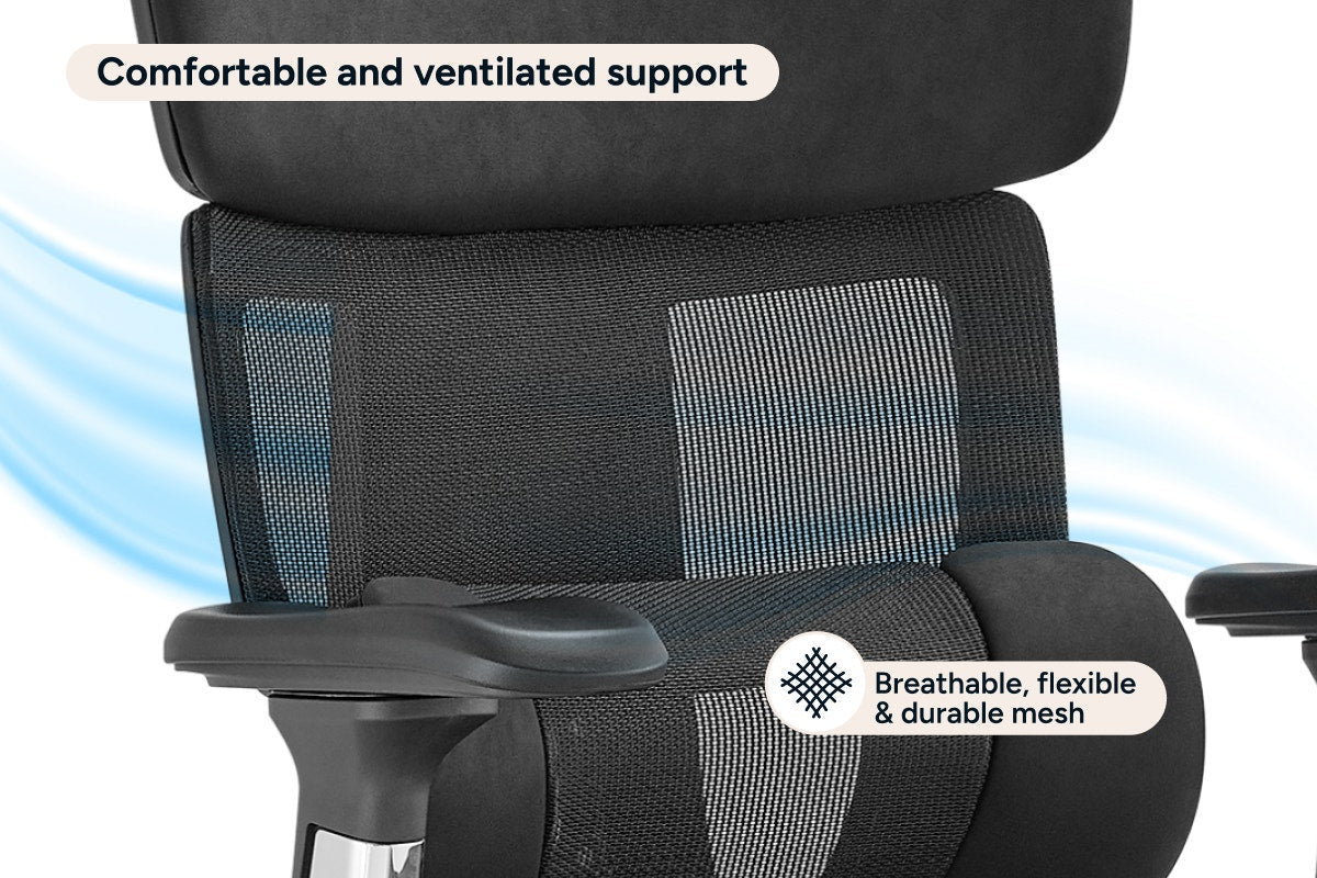 Ergolux Pro Max Ergonomic Mesh Office Chair with Footrest (Black)