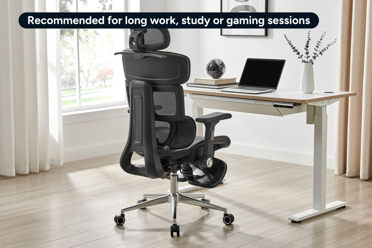 Ergolux Pro Max Ergonomic Mesh Office Chair with Footrest (Black)