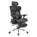 Ergolux Pro Max Ergonomic Mesh Office Chair with Footrest (Black)