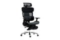 Ergolux Pro Max Ergonomic Mesh Office Chair with Footrest (Black)