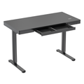 Ergolux Electric Standing Desk with Drawer 120 x 60cm (Black/Black)