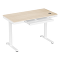 Ergolux Electric Standing Desk with Drawer 120 x 60cm (Oak/White)