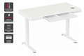 Ergolux Electric Standing Desk with Drawer 120 x 60cm (White/White)