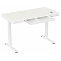 Ergolux Electric Standing Desk with Drawer 120 x 60cm (White/White)