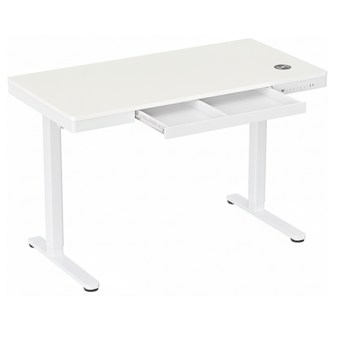 Ergolux Electric Standing Desk with Drawer 120 x 60cm (White/White)