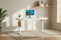 Ergolux Electric Standing Desk with Drawer 140 x 60cm (White/White)