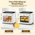 Devanti 5 Tray Mini Food Dehydrator Machine - White