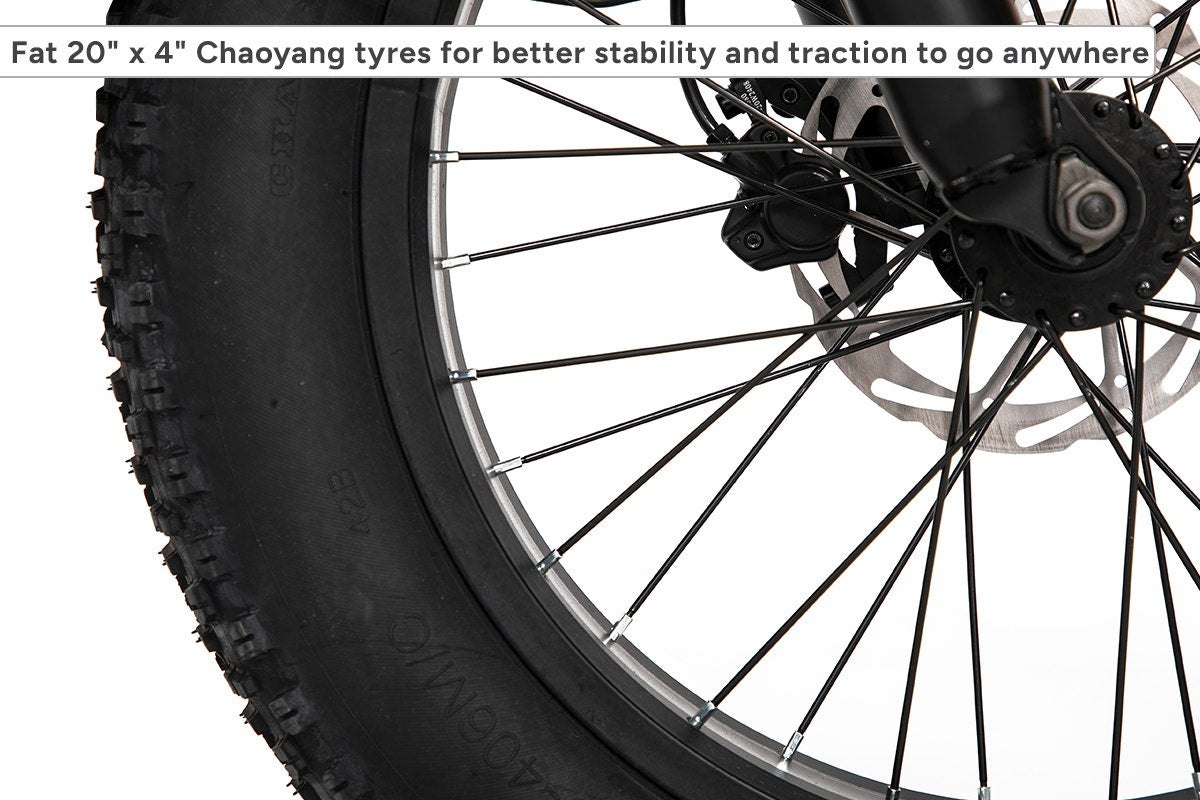 Fortis FatBro 48V 10.4Ah Fat Tyre Electric Bike