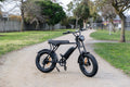 Fortis FatBro 48V 10.4Ah Fat Tyre Electric Bike