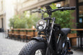 Fortis FatBro Plus 48V 13Ah Fat Tyre Electric Bike
