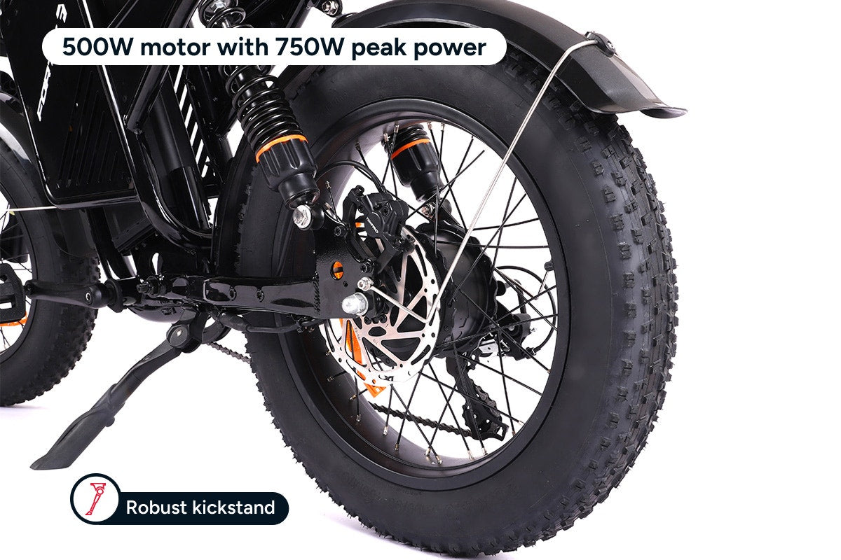 Fortis FatBro Plus 48V 13Ah Fat Tyre Electric Bike