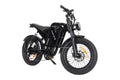 Fortis FatBro Plus 48V 13Ah Fat Tyre Electric Bike