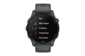 Garmin Forerunner 255 Smart Sports Watch (Slate Grey, 46mm)