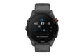 Garmin Forerunner 255 Smart Sports Watch (Slate Grey, 46mm)