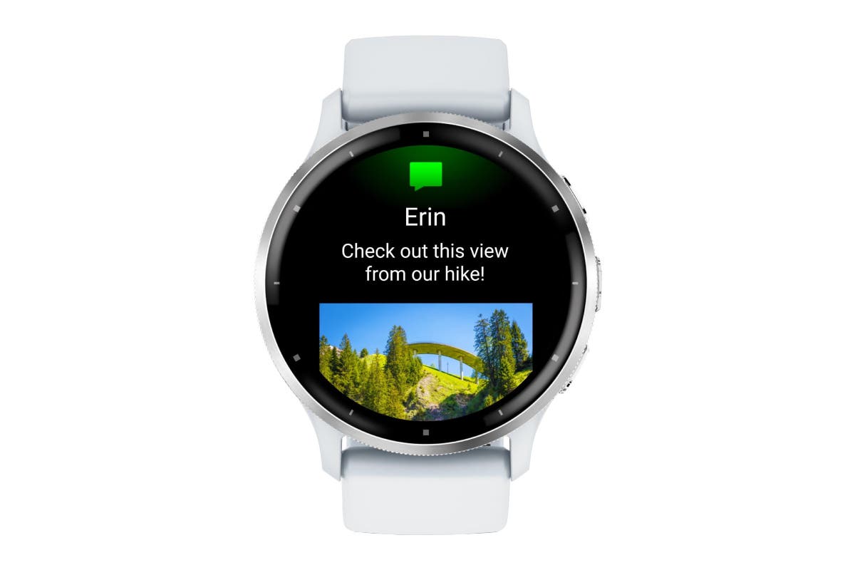 Garmin Venu 3 Smart Sports Watch (Silver/Whitestone, 45mm)