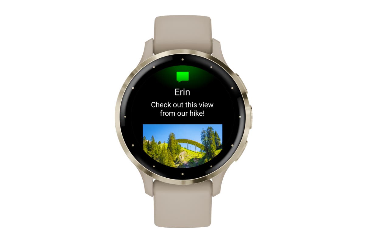 Garmin Venu 3S Smart Sports Watch (French Grey/Soft Gold; 41mm)
