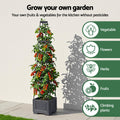 Green Fingers Self Watering Planter with Trellis Adjustable Height Modular Tomato Box 4 Layer 140cm - SuperSaverAU - view 5
