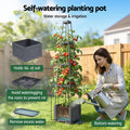 Green Fingers Self Watering Planter with Trellis Adjustable Height Modular Tomato Box 4 Layer 140cm - SuperSaverAU - view 6