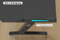 Gorilla Gaming RGB Gaming Desk (120 x 60cm)