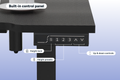 Gorilla Gaming RGB Electric Standing Desk (140 x 73cm)