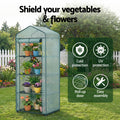 Green Fingers 4-Tier Mini Greenhouse – PE Cover 1.6 x 0.7 x 0.5m