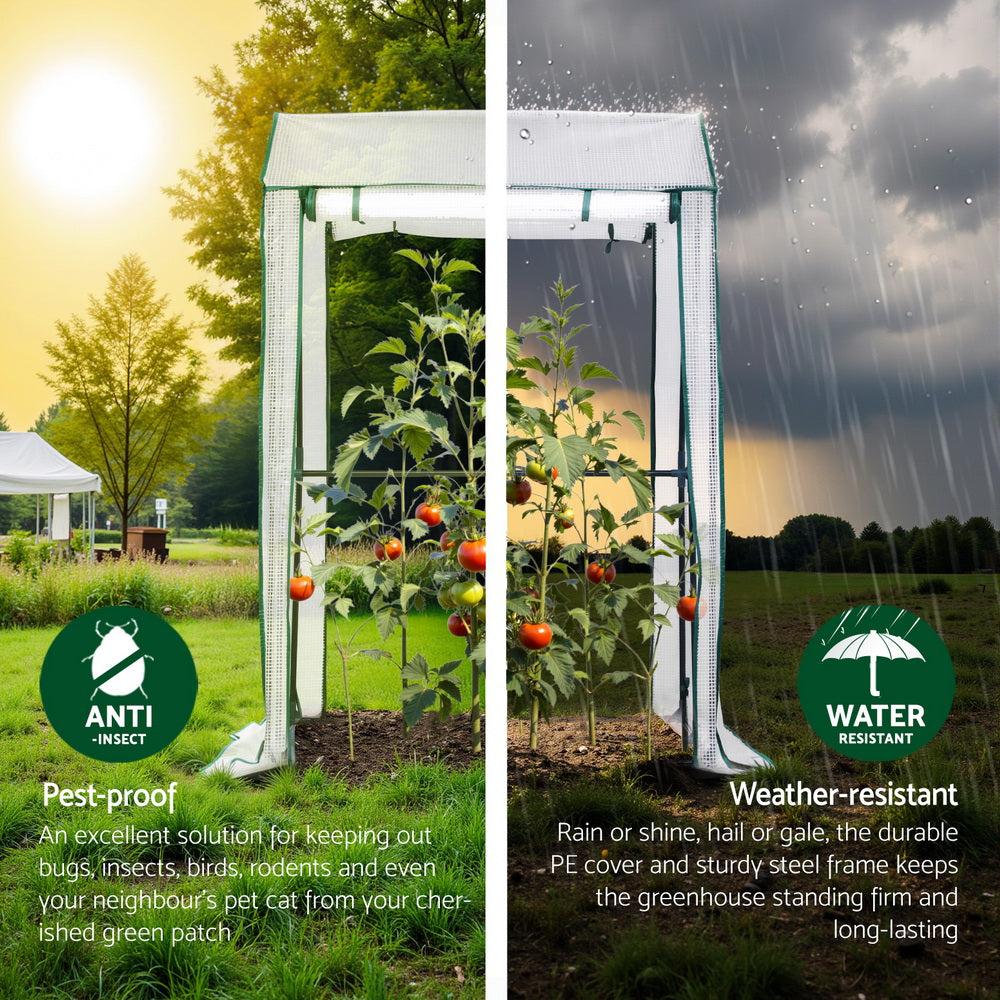 Green Fingers Mini Greenhouse with Roll-Up Zipper Door - 1.0 x 0.8 x 1.5m