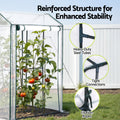Green Fingers Mini Greenhouse with Roll-Up Zipper Door - 1.0 x 0.8 x 1.5m