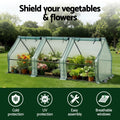Green Fingers Mini Greenhouse 240x90x90cm Steel Frame PE Cover Outdoor Shelter - SuperSaverAU - view 3