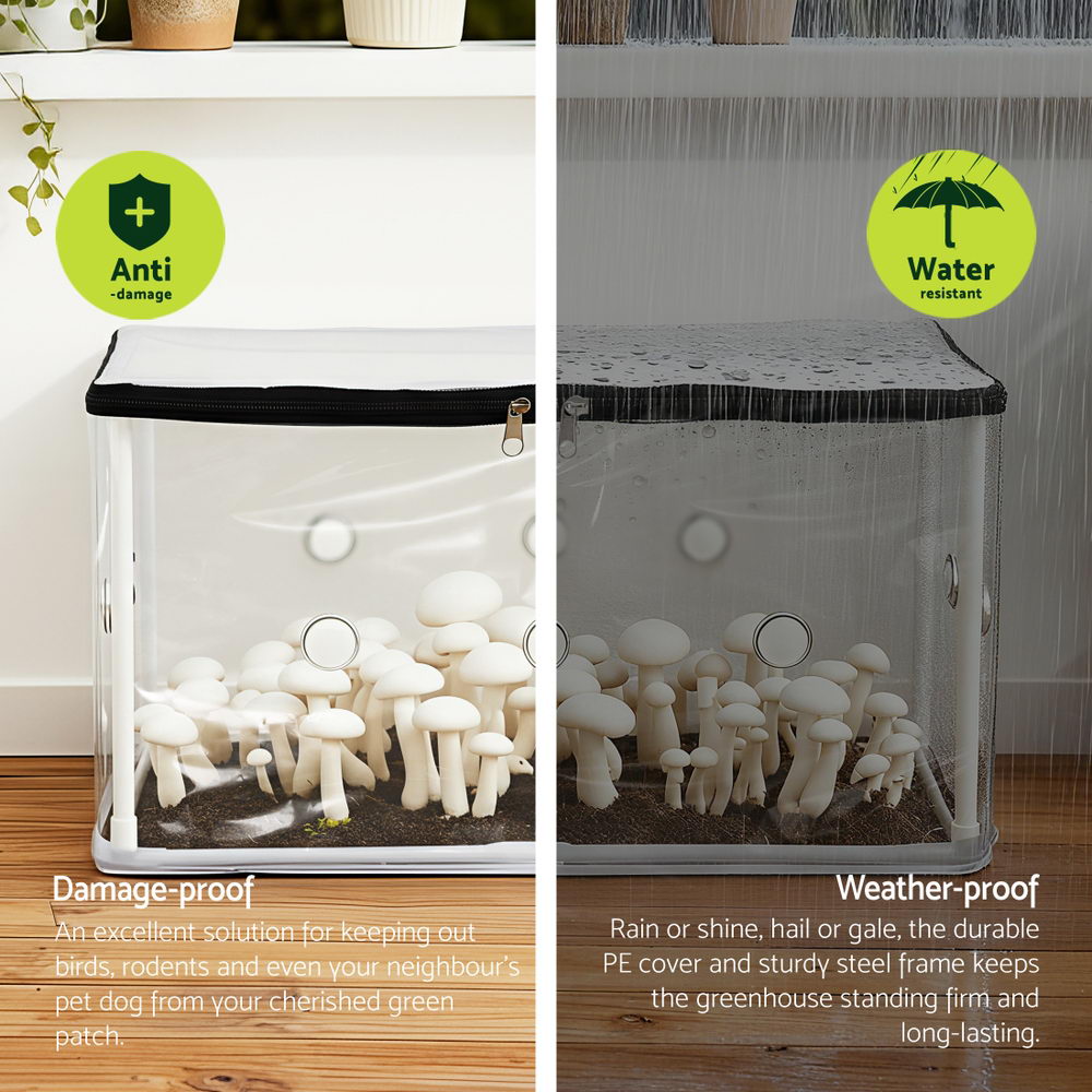 Green Fingers Mini Greenhouse 50x25cm for Succulents and Mushrooms