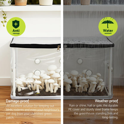 Green Fingers Mini Greenhouse 50x25cm for Succulents and Mushrooms