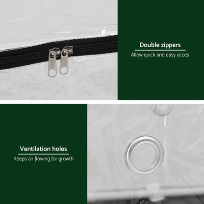 Green Fingers Mini Greenhouse 50x25cm for Succulents and Mushrooms