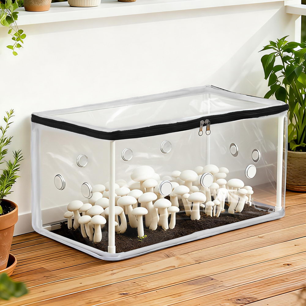 Green Fingers Mini Greenhouse 50x25cm for Succulents and Mushrooms