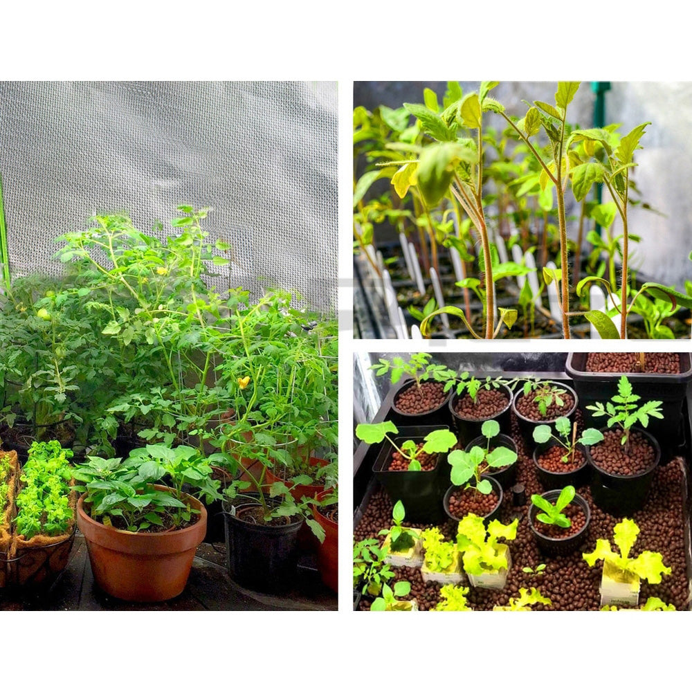 Greenfingers Hydroponics Grow Tent 60x60x90CM, Steel Frame, Waterproof, Easy Assembly - SuperSaverAU - view 3