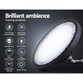 Leier 100W LED High Bay Light - SAA Approved, Epistar Chips, Energy-Saving - SuperSaverAU - view 4