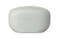 Sony WF-1000XM5 Wireless Noise Cancelling Earbuds (Silver)