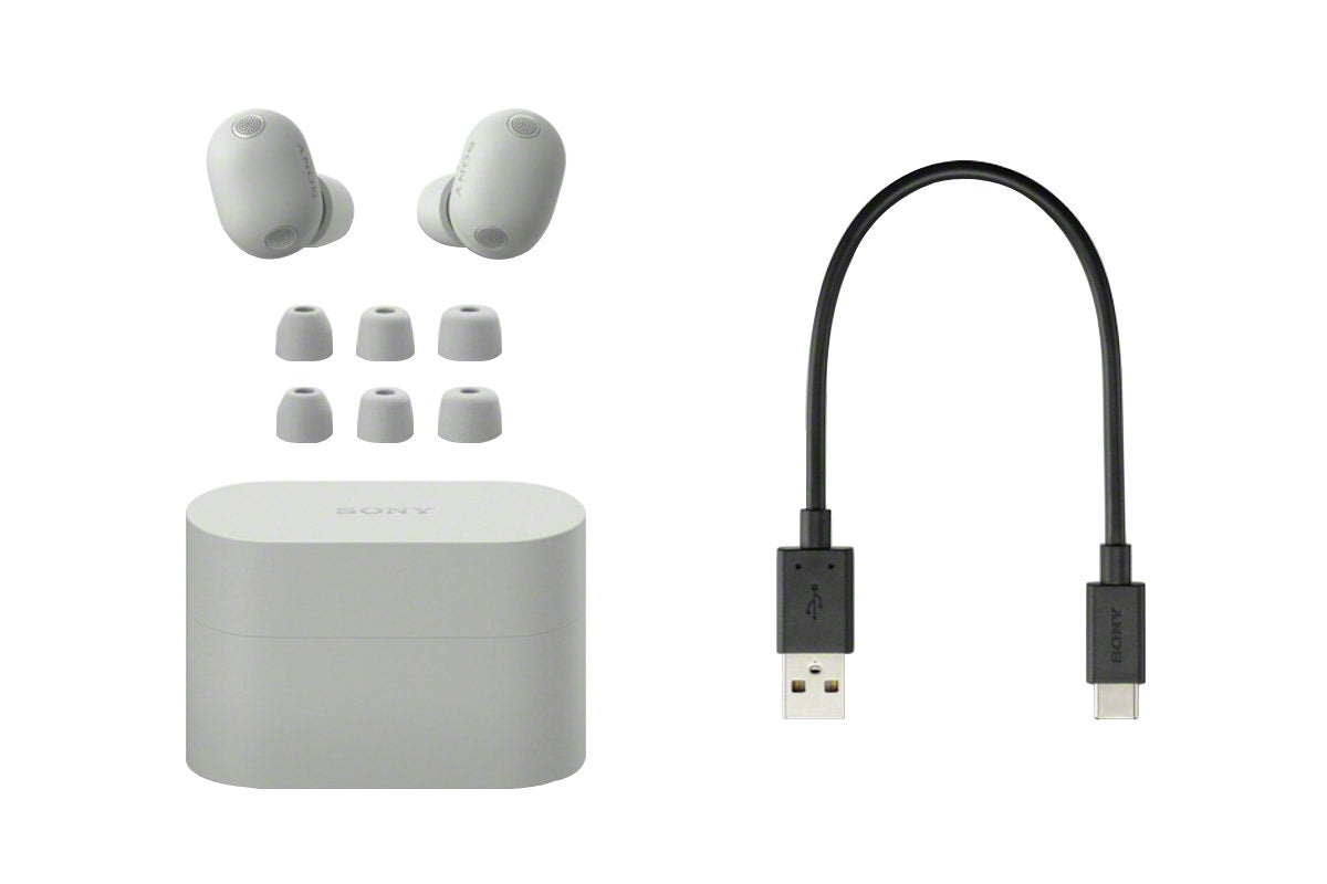 Sony WF-1000XM6 Truly Wireless Noise Cancelling Earbuds (Platinum Silver)