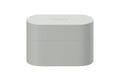Sony WF-1000XM6 Truly Wireless Noise Cancelling Earbuds (Platinum Silver)