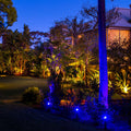 Holman 60W White RGB Colour Bluetooth Garden Light Controller With Inbuilt Transformer CLBRGB60
