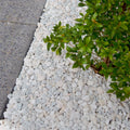 Tuscan Path 20-40mm 10kg Mixed Stone Decorative Stones