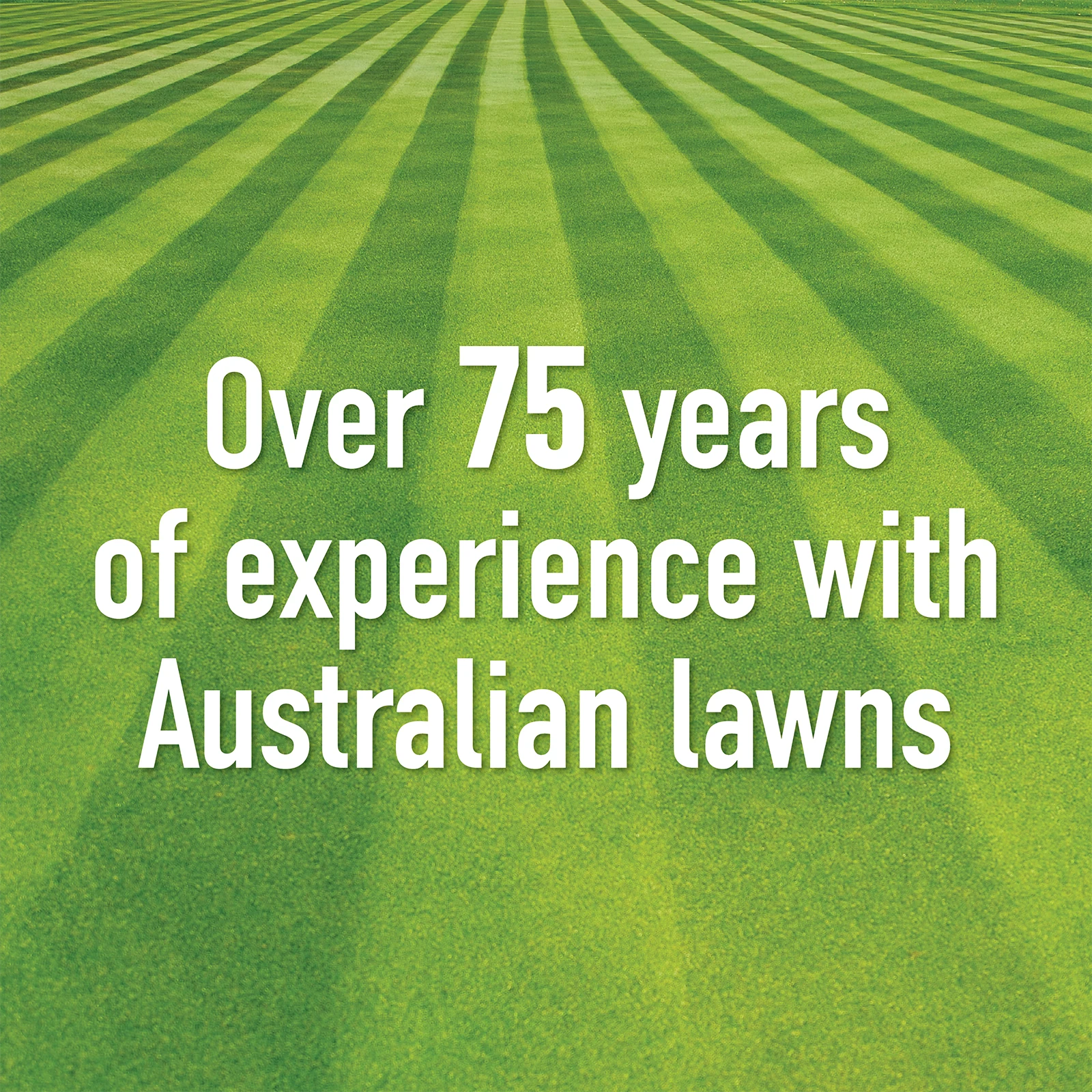 Munns Professional 5kg Golf Course Green Granular Lawn Fertiliser All Lawns